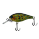Color: 10 - Real Sunfish