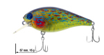 Color: 10 - Real Sunfish