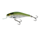 Color: OLIVE BLEAK