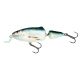 Color: REAL DACE