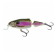 Color: SPOT BAIT