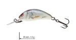 Color: REAL DACE