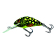 Color: BEETLE