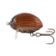 Color: MAY BUG