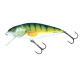 Color: PERCH