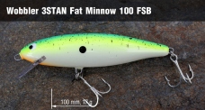 Wobbler 3STAN FM100 floating