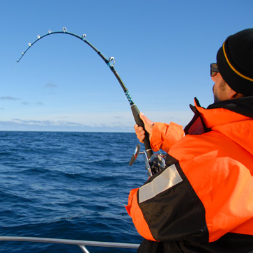 NordSea fishing